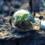 Is There an Eco-Friendly HVAC System? Exploring Green Options for Your Home