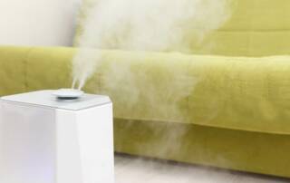 humidifier in living room